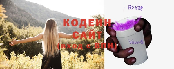 мет Новозыбков