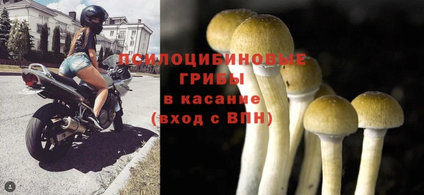 прущие грибы Нефтегорск