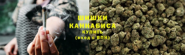 мет Новозыбков