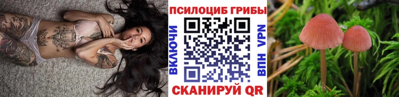 Галлюциногенные грибы ЛСД  кракен зеркало  Новомичуринск 